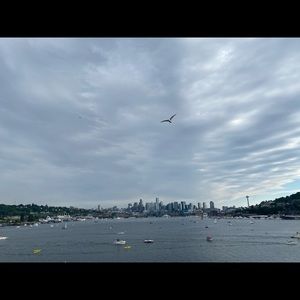 Meet your Posher, Kaia